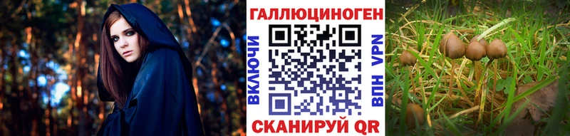 Галлюциногенные грибы Cubensis Ясный